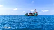 Cà Mau quyết tâm gỡ 'thẻ vàng' IUU, hướng tới nghề cá bền vững