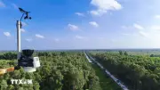Cà Mau triển khai camera 4K, flycam tầm nhiệt chống cháy rừng mùa khô