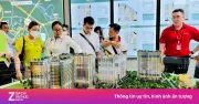 Cò nhà đất bán giá ảo không còn 'đất sống' khi thông tin minh bạch