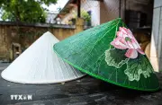 Độc đáo sản phẩm nón lá sen, nón lá bàng xứ Huế