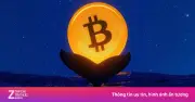 Cá voi Bitcoin thức giấc sau 10 năm, chuyển 40 triệu USD