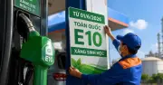 Các hãng xe khẳng định đa số phương tiện tương thích với xăng E10