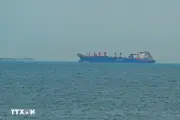 Các siêu tàu chở 6 triệu thùng dầu thô từ Trung Đông qua eo biển Hormuz