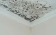 Cách tẩy sạch nấm mốc trên tường nhà bằng nguyên liệu rẻ tiền