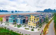 CEO Group báo lãi quý I/2026 tăng 67,6%, doanh thu tài chính gấp đôi