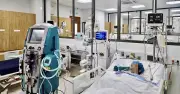 Chế độ dinh dưỡng cho người bệnh thận: 6 nguyên tắc vàng cần nhớ