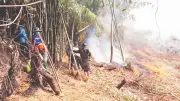 Chủ động phòng chống cháy rừng trong cao điểm nắng nóng