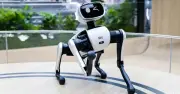 Chó robot Trung Quốc thu về gần 100 triệu NDT trong 20 ngày, xác lập kỷ lục mới