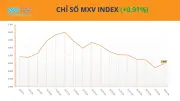 Chỉ số MXV-Index tăng gần 1%, bạc và dầu đậu tương dẫn dắt thị trường