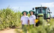 Chủ tịch AgriS đăng ký mua hơn 42 triệu cổ phiếu SBT, gia tăng tỷ lệ sở hữu