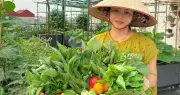 Chi 30 triệu làm vườn sân thượng mê đắm ở Bắc Ninh, thả ga thu rau trái quanh năm