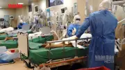 Chile: Số ca nhiễm virus Hanta tăng cao, tỷ lệ tử vong hơn 30%