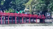 Chim hoang dã kéo về làm tổ trên đảo Ngọc giữa lòng Hồ Gươm