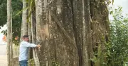 Chiêm ngưỡng quần thể cây di sản trăm tuổi bên ngôi đền cổ xứ Nghệ