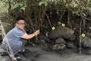 Chiêu trò tráo mẫu nước tiểu khi kiểm tra ma túy ở TPHCM bị lật tẩy