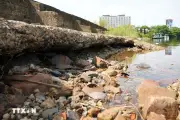 Chậm trễ bảo vệ, di tích cảng quân sự Đông Hà tiếp tục bị xâm hại