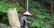 Chính sách dân tộc và miền núi: Phép thử tư duy từ hỗ trợ sang kiến tạo