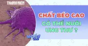 Chất béo trong cơ thể có thể thúc đẩy ung thư vú phát triển