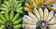 Chuối, táo, kiwi, bơ: Lợi ích sức khỏe từ bốn loại trái cây quen thuộc