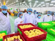 Chuẩn hóa sản xuất, truy xuất nguồn gốc: 'tấm vé' giữ thị trường xuất khẩu nông sản