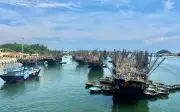 Chuyến biển bạc tỷ giữa mùa mực 'vàng' của ngư dân Quảng Ngãi
