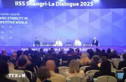 Chuyên gia Singapore: Việt Nam định hình vị thế mới tại diễn đàn quốc tế