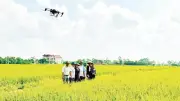 Chuyển đổi số giúp nông sản Hưng Yên vươn xa