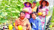 Chuyển đổi số trong nông nghiệp: Hiệu quả rõ nét từ thực tiễn tại Tây Ninh