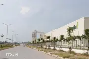 Chuyển mạnh tư duy từ thu hút FDI đại trà sang hợp tác đầu tư có chọn lọc