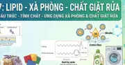 Chuyên đề ôn thi môn hóa học: Chất béo, xà phòng và chất giặt rửa