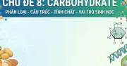 Chuyên đề ôn thi tốt nghiệp THPT 2026 môn Hóa học: Hệ thống kiến thức trọng tâm