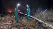 Cháy rừng ở An Giang: Gần 300 người dập lửa, thiệt hại 4ha thực bì