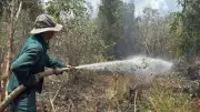 Cháy rừng tràm tại Lâm trường Vĩnh Lợi, lực lượng chức năng khống chế sau hơn 24 giờ
