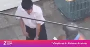Clip người đàn ông dùng chó quật shipper ở TP.HCM gây phẫn nộ