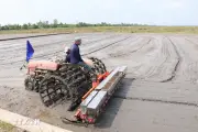 Cần Thơ tích hợp công nghệ số, tăng cơ giới hóa ngành lúa gạo