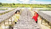 Cần Thơ đẩy mạnh chuyển đổi số ngành thuế, cao tốc Châu Đốc - Cần Thơ - Sóc Trăng tăng tốc