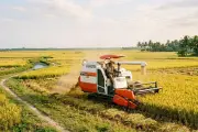 Công an Hưng Yên cảnh báo nạn 'bảo kê' máy gặt lúa mùa thu hoạch