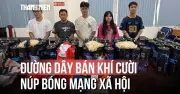Công an TP.HCM bắt nhóm buôn bán khỉ cuội quy mô khủng