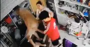 Công an vào cuộc vụ người phụ nữ ôm trẻ nhỏ bị hành hung liên tiếp ở Hà Nội