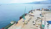 Cảng Cà Ná tăng trưởng đột biến nhờ điều chỉnh giá và đa dạng hóa dịch vụ