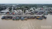 Cảng cá Trần Đề tấp nập tàu thuyền, sản lượng thủy sản quý I/2026 vượt kế hoạch