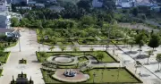 Công ty Cây xanh Công Minh: Ông chủ bị đề nghị truy tố vắng mặt