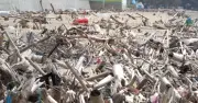 Cảnh báo nguy hiểm từ bãi chông nhọn trên bãi biển Thanh Hóa