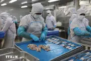 Cảnh báo sở hữu trí tuệ từ Hoa Kỳ: Khuyến nghị cho doanh nghiệp thủy sản