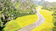 Cánh đồng lúa Tam Cốc: Từ nông nghiệp sang tài nguyên du lịch