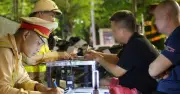 Cảnh sát kiểm tra hơn 50.000 xe, phát hiện 2.770 vi phạm nồng độ cồn