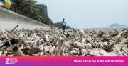 Cảnh tượng 'kinh hoàng' ở bãi biển Hải Tiến: Chính quyền vào cuộc dọn dẹp