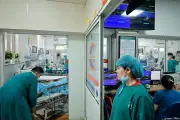 Cấp cứu kịp thời bệnh nhân sốc phản vệ nguy kịch do kiến đốt tại Phú Thọ