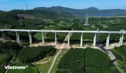 Cầu cạn hay đắp nền: Lời giải nào cho cao tốc Đồng bằng sông Cửu Long?