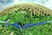 Dự kiến hoàn thành thẩm định cấp tín chỉ carbon rừng trong quý 2 năm 2026